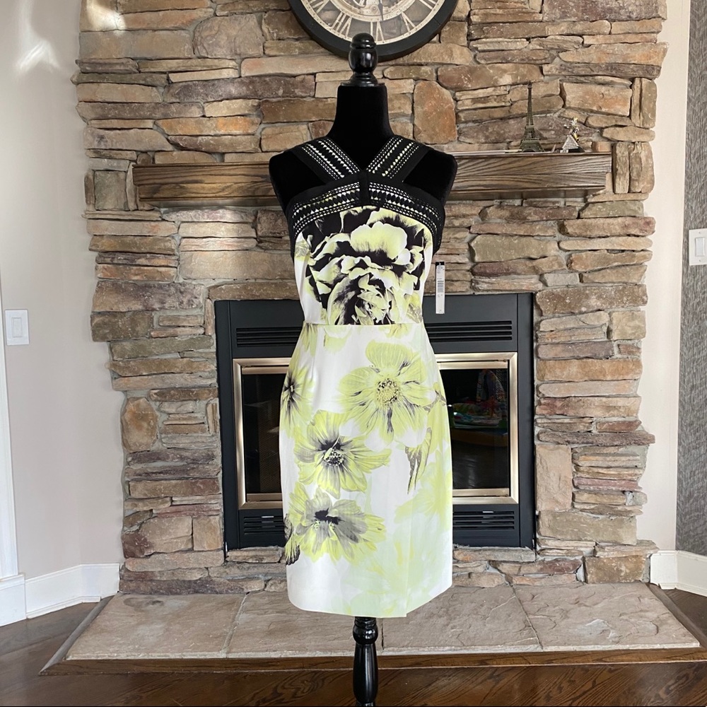 T Tahari Knee Length Floral Dress 14